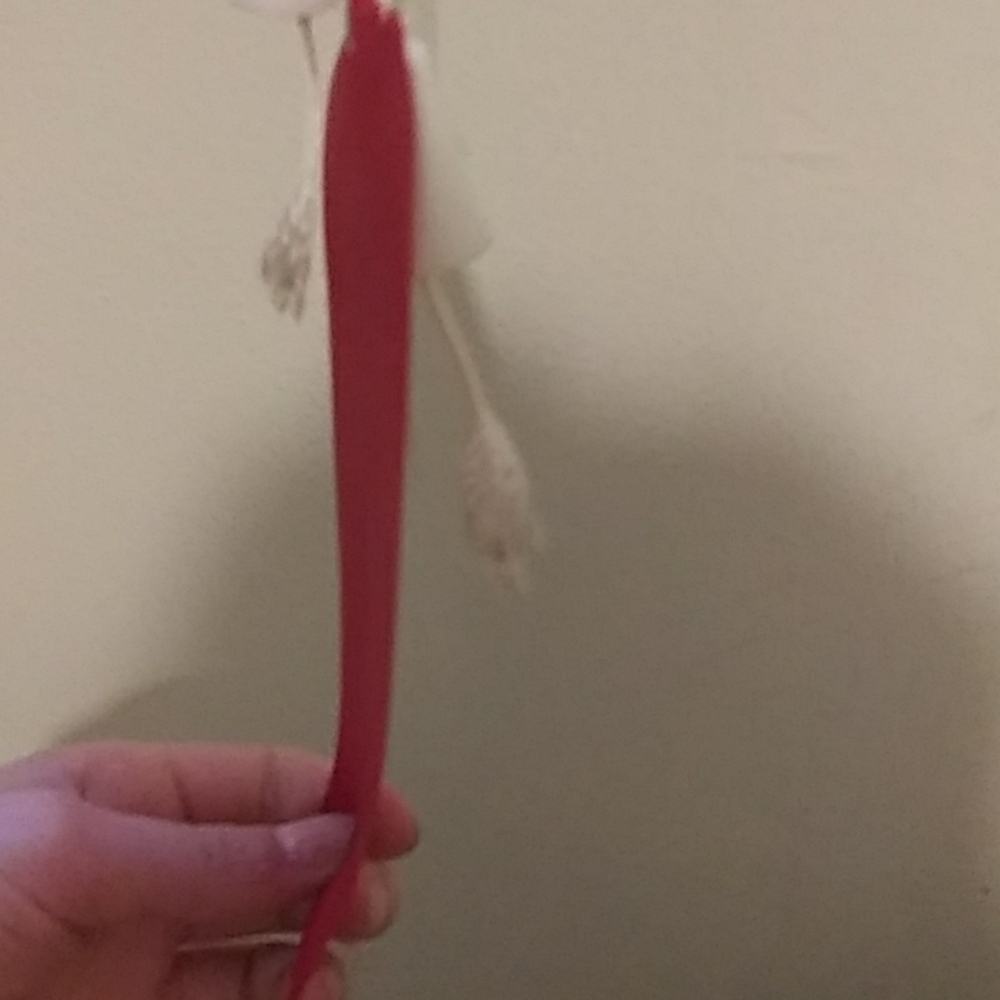 Ribbon - Picture 4 of 4